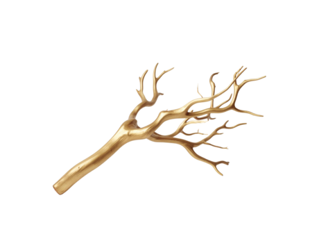 Golden Branch with Smooth Bark and Delicate Twigs Illuminated with Subtle Highlights