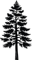 Stylized Pine Tree Silhouette Vector on White Background