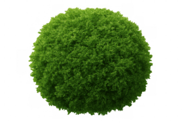 Lush green leaves create a perfect sphere, offering a unique element for environmental or design projects with its transparent background