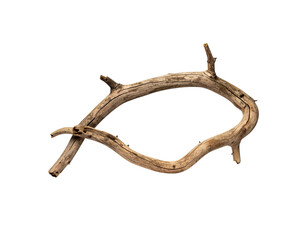 Obraz premium Weathered Branch Forming an Oval Shape with Textured Bark and Broken Ends