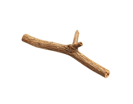 Weathered Branch with a Small Sprout and Hollow Ends Detailed Bark Texture