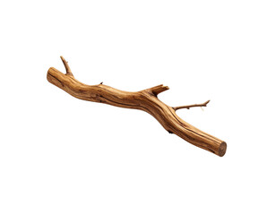 Weathered Branch with Knotholes and Small Twigs Rich Brown Tones