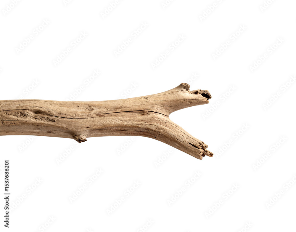 Poster weathered branch with split end textured bark and small knot detail