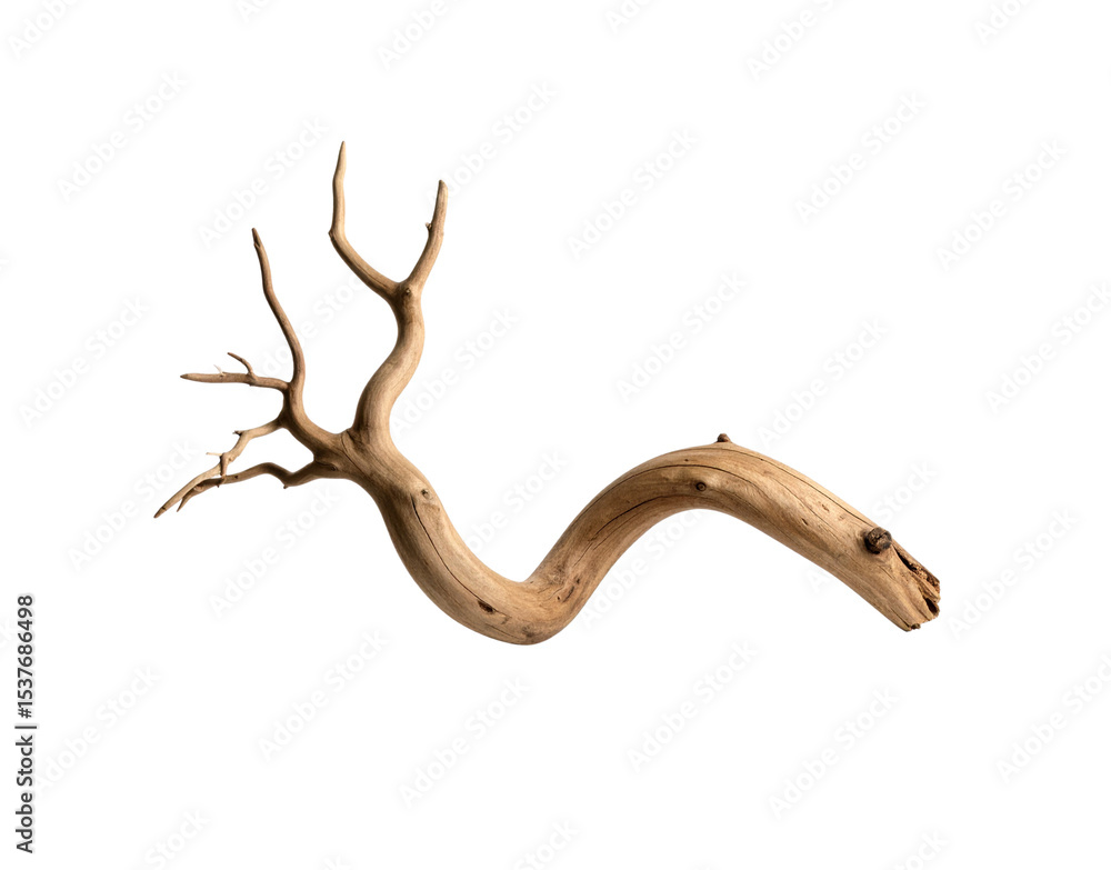 Poster weathered driftwood branch with twisting form and textured surface illuminated by soft light