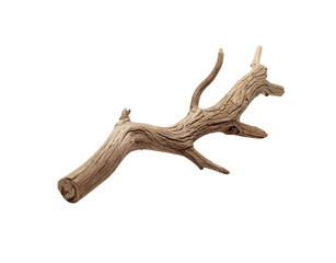 Weathered driftwood branch with textured bark and multiple offshoots