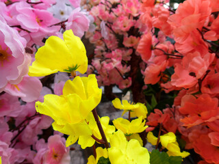 Colorful artificial flowers create a vibrant display at a market in spring season