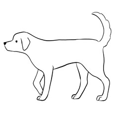 A simple line drawing of a Labrador retriever walking sideways