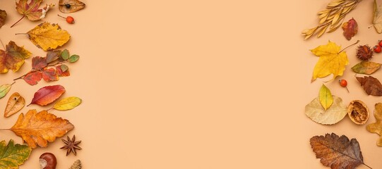 Many different autumn leaves on beige background with space for text