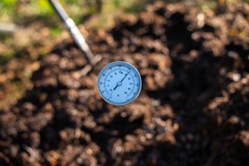 measuring the temperature of a Compost pile, organic thermophilic compost turning in Tasmania Australia on a farm