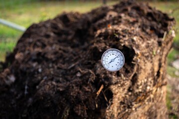 measuring the temperature of a Compost pile, organic thermophilic compost turning in Tasmania Australia on a farm