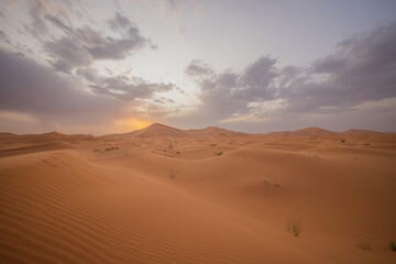 Sunset panoramic landscape views of Erg Chebbi sand dunes located in Morocco on the western edge of...