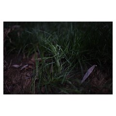 vector illustration of a abstract background