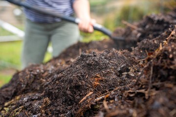 farmer collecting soil samples in a test tube in a field. Agronomist checking soil carbon and plant health on a farm