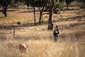 female farmer driving steel posts with a post driver on a farm putting up a steel post fence with high tensile wire in australia women in agriculture in spring
