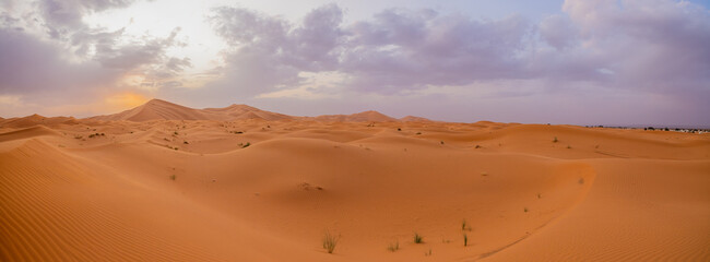 Sunset panoramic landscape views of Erg Chebbi sand dunes located in Morocco on the western edge of...