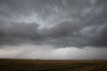 Severe Storm