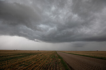 Severe Storm