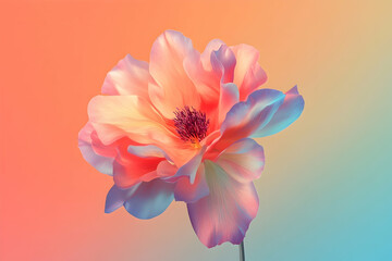Obraz premium Vibrant flower blossom in soft pastel hues.