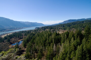 Aerial View of Columbia River, surrounded by massive pine trees under a clear blue sky. 