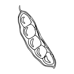 green vegetable pod line art