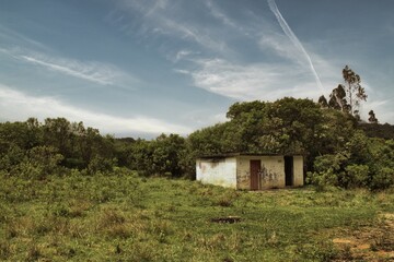 La Siberia, an abandoned town in Colombia’s Andes. Crumbling walls, empty streets, and overgrown...