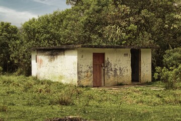 La Siberia, an abandoned town in Colombia’s Andes. Crumbling walls, empty streets, and overgrown...