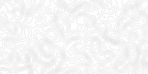 The pattern discovery vector topo map creative discovery White wave grid stripe line map topography. vector geographic contour mounted map background.	