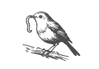  European Robin hand drawn sketch vector illustration