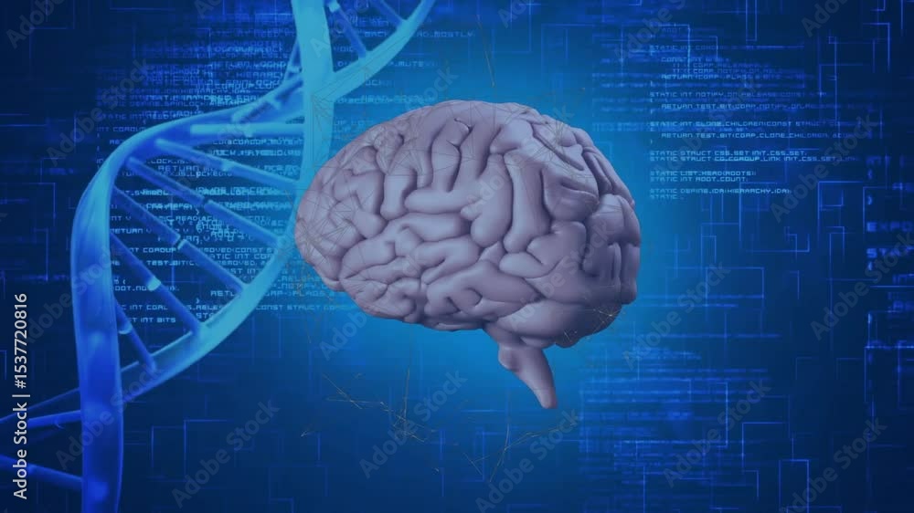 Poster upon startup, 3d brain model rotating slowly to visualize data analysis with dna helix and code