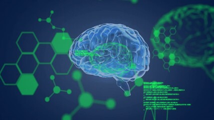 On green code fade-in, 3D holographic brain rotating, revealing structures for display - Powered by Adobe