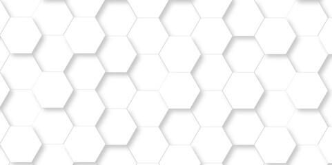 Abstract minimal white lines Hexagonal structure futuristic white background and Embossed Hexagon , honeycomb white mosaic cell web ,light and shadow texture design.	