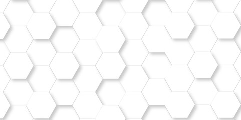 Abstract minimal white lines Hexagonal structure futuristic white background and Embossed Hexagon , honeycomb white mosaic cell web ,light and shadow texture design.	