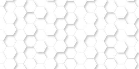Abstract minimal Background with white lines Hexagonal structure futuristic white background and Embossed Hexagon , honeycomb white mosaic cell web ,light and shadow texture design.	