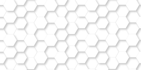 Vector abstract white lines Hexagonal structure futuristic white background and Embossed Hexagon , honeycomb white mosaic cell web ,light and shadow texture design.	
