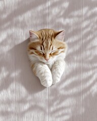 Fluffy Orange Tabby Kitten Sleeping Peacefully on Textured Background
