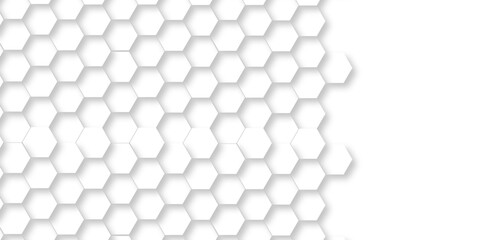 Abstract minimal white lines Hexagonal structure futuristic white background and Embossed Hexagon , honeycomb white mosaic cell web ,light and shadow texture design.	
