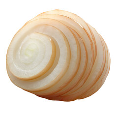 Thinly Sliced Onion Rings Closeup View