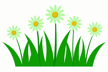 Five green daisies in lush green grass