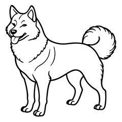 Canadian Eskimo Dog Vector on White