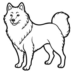 Canadian Eskimo Dog Vector on White