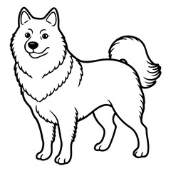 Canadian Eskimo Dog Vector on White