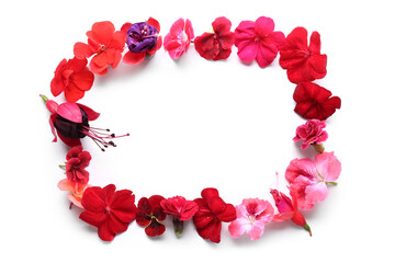 Frame made of different beautiful edible flowers on white background