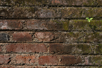 old bricks wall texture background