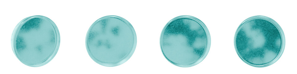 Set of 4 3d objects blue frosted ice isolated on a transparent background. Object index 2. Transparent frosted glass morphism icon. 3d abstract elements for graphic design.
