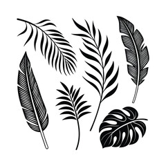 Obraz premium Tropical Leaves Silhouette Collection 