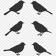 Set of bird Silhouette in various poses isolated on transparent background. eps 10