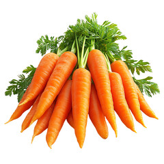 Isolated transparent A fresh bunch of vibrant orange carrots with green tops, showcasing their natural beauty. PNG die-cut element for advertising