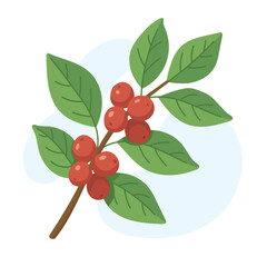 A detailed illustration depicts a coffee branch showcasing ripe red berries and vibrant green leaves, highlighting the beauty of coffee cultivation.