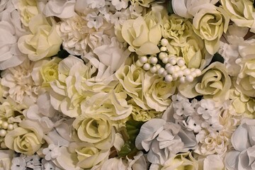 White and yellow flower background