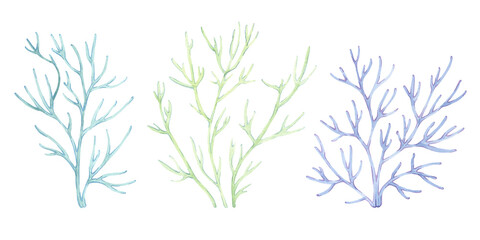 Naklejka premium Set of branches, seaweed, coral, underwater grass, beach decoration, ocean shore souvenir, pastel colors on white background. Collection of isolated objects. Hand drawn watercolor illustration